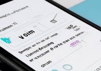 苹果手机怎么调大音量？设置里没找到音量调节选项怎么办？