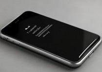 苹果手机黑屏没反应怎么办啊，苹果手机突然黑屏打不开是什么原因