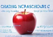 苹果下个日程怎么更改？新手必看步骤指南！