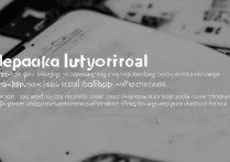 oppo手机net怎么设置？详细步骤与参数配置指南