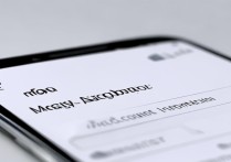 vivo手机账户信息如何在线修改？