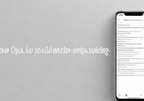 iQOO9 怎么打开投屏？iQOO9 投屏功能设置方法是什么