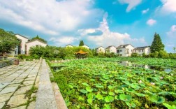 杨柳湖风景区