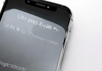 苹果手机home键失灵了怎么打开？