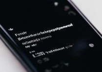 vivo锁屏密码忘了怎么解？官方方法有吗？