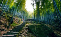 江苏宜兴竹海风景区