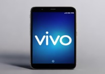vivo出厂密码