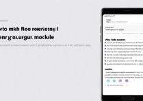 vivo手机USB调试模式打不开怎么办？一步步教你解决！