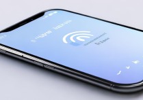 vivo手机wifi网速很慢