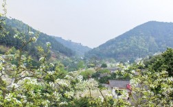 新津县梨花溪风景区