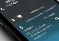 苹果手机WiFi设置DNS怎么设置才能上网？苹果手机WiFi DNS设置后无法上网怎么办