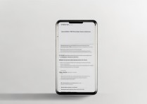 vivox9 HD设置步骤有哪些？新手必看指南