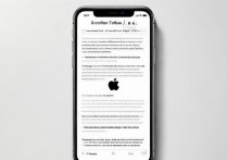 苹果设置文字怎么设置不了？教你解决方法！