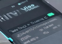 vivo手机流量显示怎么设置方法？流量显示在哪设置？