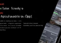 oppo手机微信锁怎么设置？详细步骤教程来了！