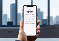 oppo流量怎么用不了？没网没信号怎么办？