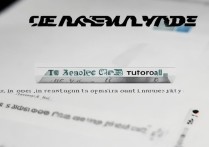 oppo触屏设置方法？新手必看详细教程步骤指南