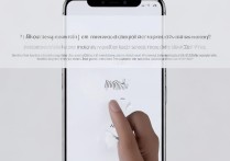 小米10s指纹解锁和人脸识别怎么设置？