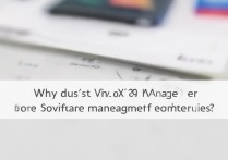 Vivo X9的i管家为何没有软件管理功能？