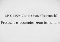OPPO K9S安兔兔跑分多少？处理器配置能打吗？
