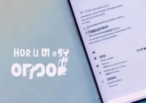 OPPO手机怎么解除root？解除root权限的方法详解