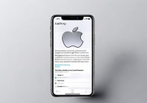 苹果刷卡功能怎么用？新手操作指南与注意事项有哪些？