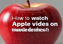 苹果视频在手机上看不了怎么办？