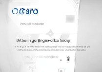 VIVO X7如何查看并开启双引擎闪存功能？