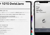 苹果手机本地视频无法播放？原因及解决方法是什么？