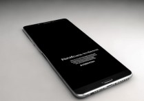 vivo手机一半黑屏不亮，自己能修吗？