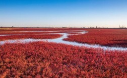 十一红海滩风景区