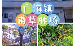 台山广海镇有哪些不容错过的旅游攻略？