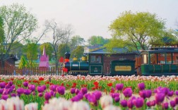 武汉木兰花乡风景区