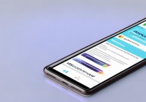 vivo 手机系统怎么升级？