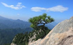 劲松园风景区