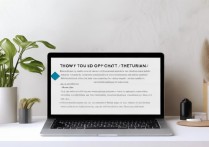 闲鱼怎么私聊卖家？新手私聊别人被忽略怎么办？