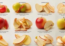 苹果皮怎么用5？苹果皮5代正确使用方法教程