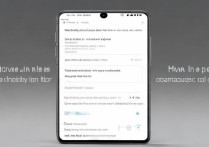oppo手机怎么启动双卡功能？设置步骤是什么？