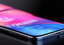 小米12 Pro天玑版屏幕尺寸多大？实际显示效果如何？