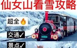 仙女山冬季旅游攻略，如何玩转这片冬日仙境？