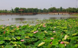 贾汪凤鸣湖风景区