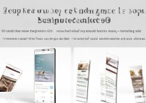 vivox9自己弄主题详细步骤是什么？