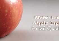 苹果怎么测音质？iPhone自带音质测试方法详解