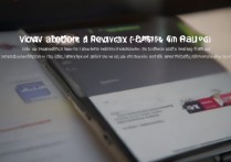 vivo手机怎么网刷？vivo手机在线刷机教程详细步骤