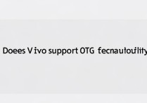vivo支持otg功能吗
