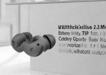 真我BudsWireless2Neo电池容量多大？续航时间真的长吗？