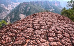 千龟山风景区