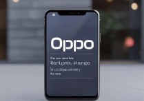 oppo开热点