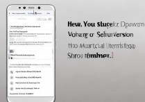华为mate9怎么降版本？华为手机降级教程