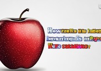 苹果装不上微信怎么办？解决方法有哪些？